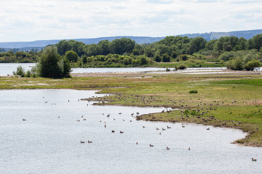 Blick vom Aussichtsturm auf den Altmühlsee